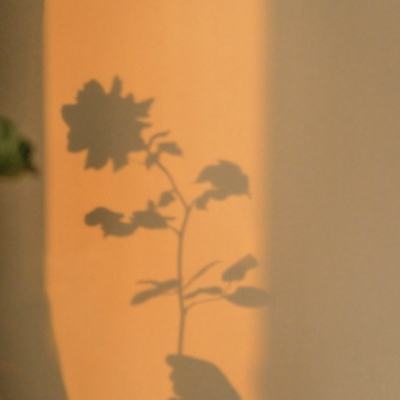 AG官方平台下载地址