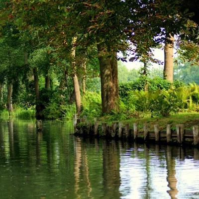 大小单双赚钱平台