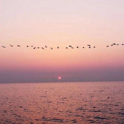 pg游戏官方网站