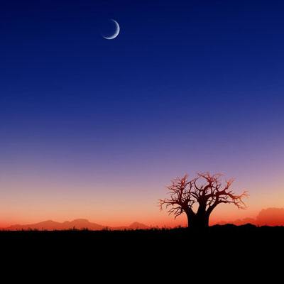 苹果彩票网截图