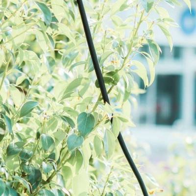 永盈会下载手机版