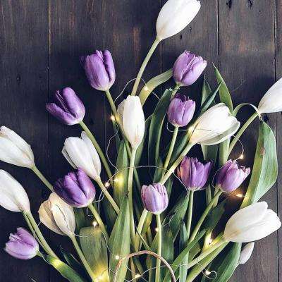 今期澳门三肖三码开一码app下载