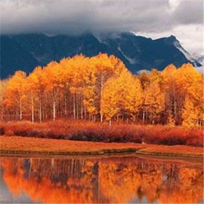 快3平台官网app下载