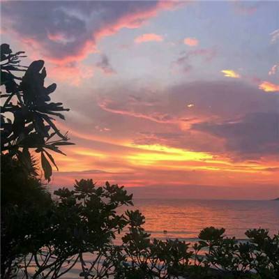 炸金花游戏app下载