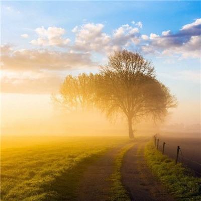 炸金花游戏app下载截图